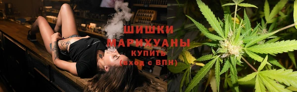 спайс Арсеньев