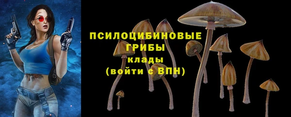 спайс Арсеньев