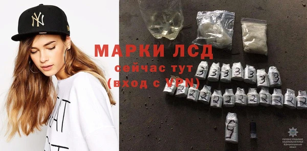 спайс Арсеньев