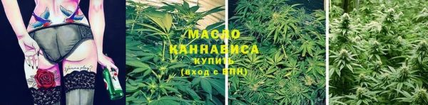 спайс Арсеньев