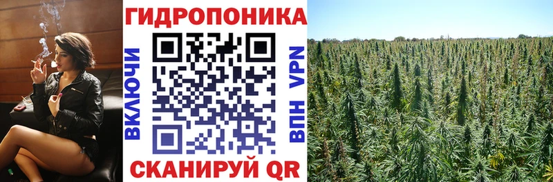купить наркотик  Бахчисарай  Бошки марихуана индика 